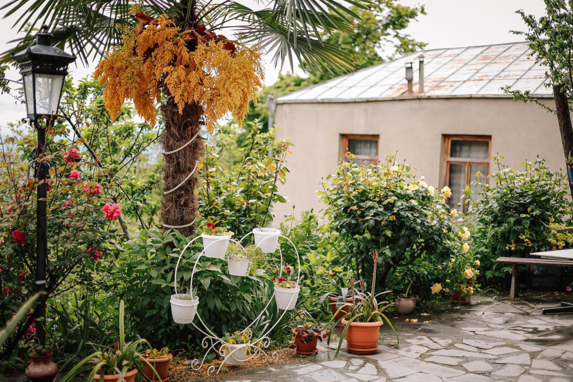 Sighnaghi Garden House Hotel Exterior foto